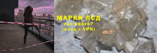 СК Покачи